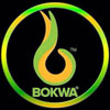 Bokwa Dance Fitness